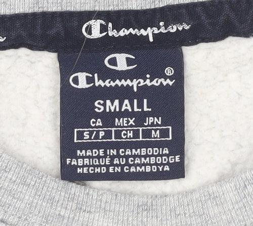 Champion Men's Grey Pullover Sweatshirt, Small