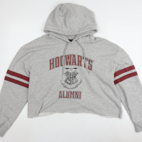 Harry Potter Unisex Grey 2XL Pullover Hoodie