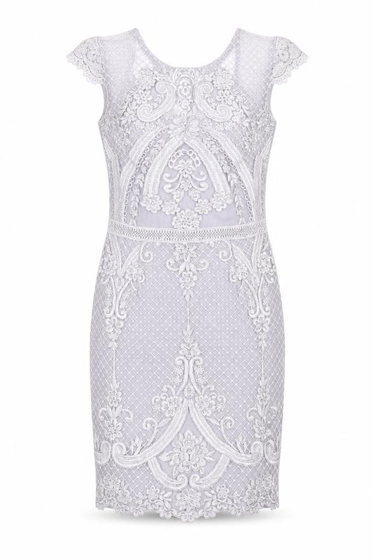 Front view of Lipsy Women's Grey Lace Bodycon Dress, size 12