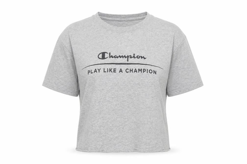 Champion Grey T-Shirt Unisex S Casual Crew Neck