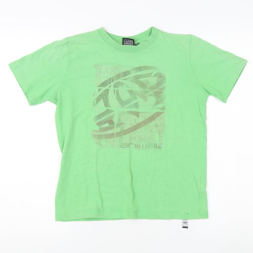 Animal Boys Green Graphic T-Shirt 11-12 Years
