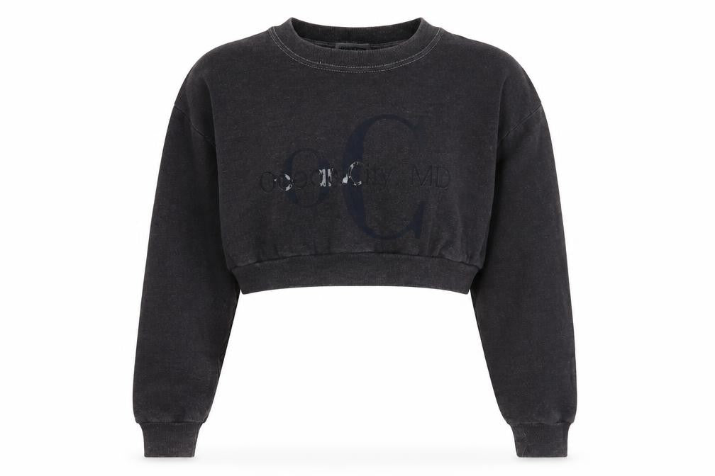 Front view of Lee Women's Grey XL Cotton Blend Sweatshirt