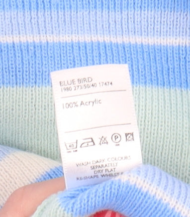Berkertex Women's Blue Striped Pullover Jumper