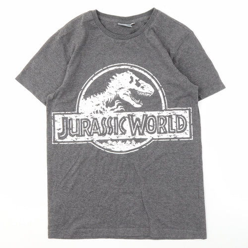 Jurassic World Grey Men's Graphic Tee, Size S, Movie Logo