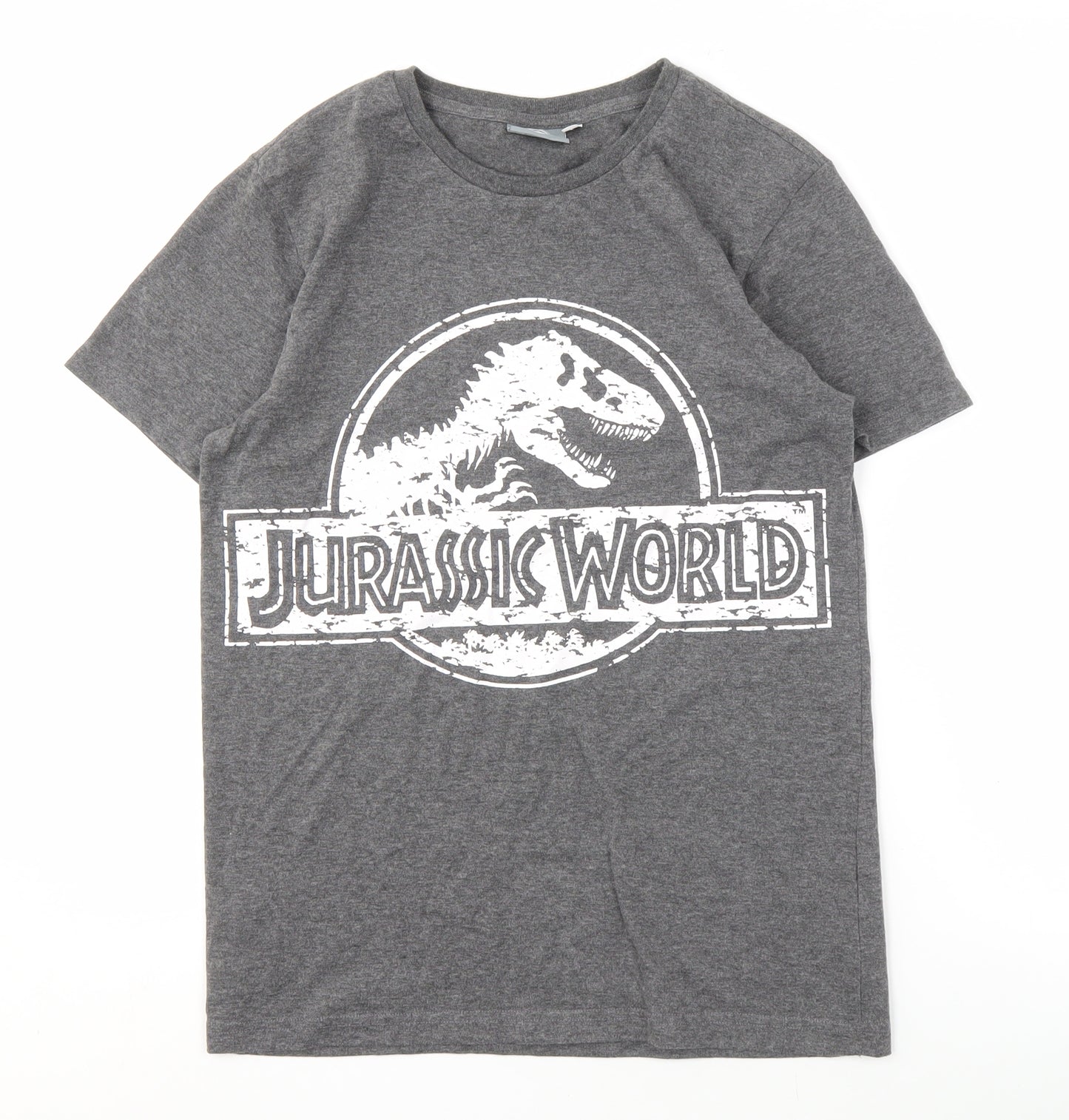 Jurassic World Grey Men's Graphic Tee, Size S, Movie Logo