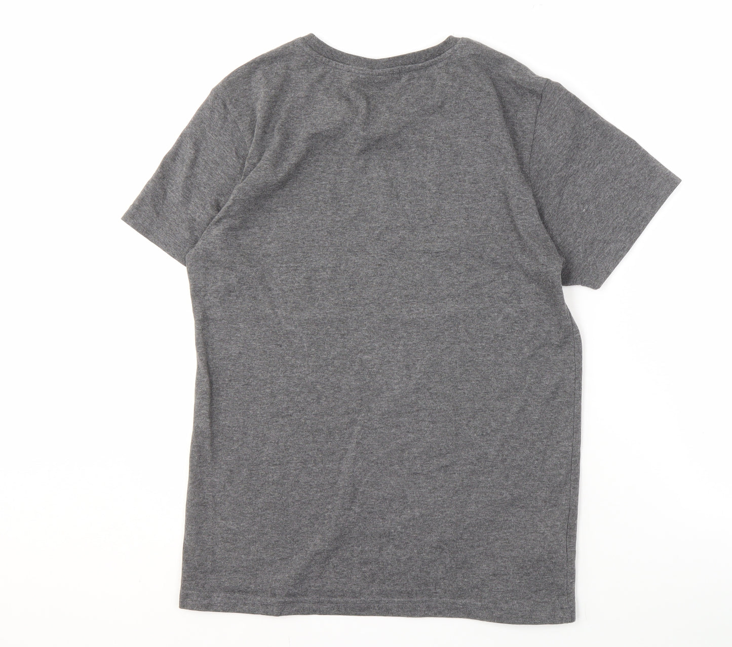 Jurassic World Grey Men's Graphic Tee, Size S, Movie Logo