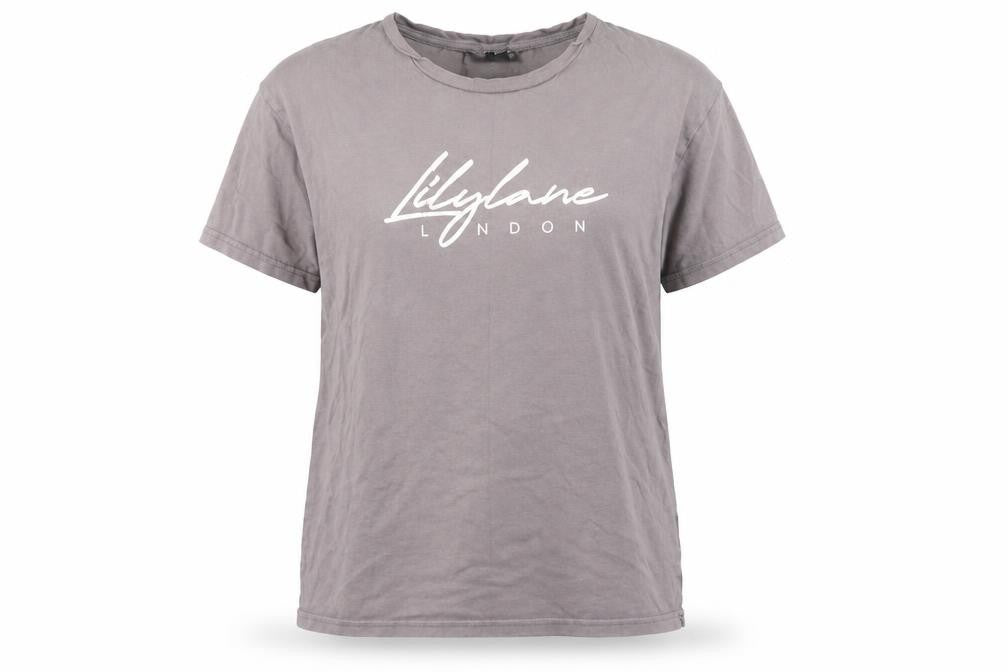 Lilylane Women's Grey Cotton Crew Neck T-Shirt M