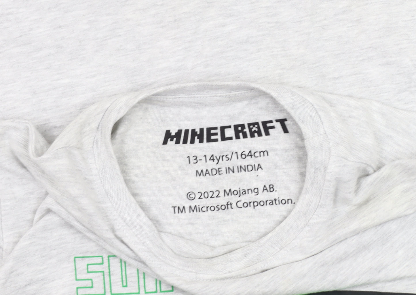 Minecraft Boys Grey T-Shirt 13-14 Years Graphic Print