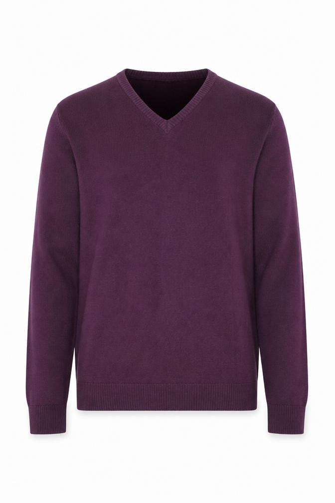 Front view of Oak Valley Heritage Men’s Purple V-Neck Pullover L