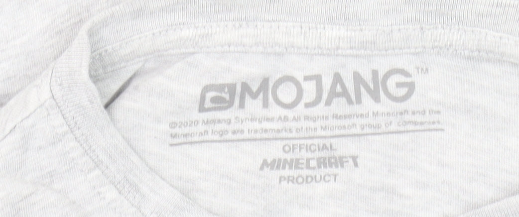 Mojang Minecraft Boys Grey T-Shirt, 7-8 Years, Graphic Tee