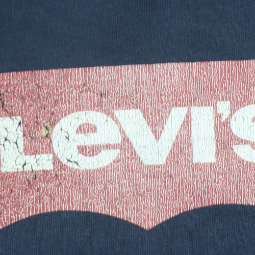 Levi's Boys Blue Pullover Hoodie - 16 Years, Graphic Logo