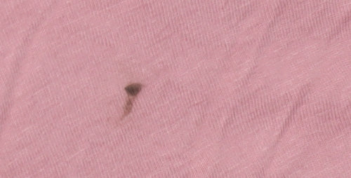 Lipsy Women's Pink Flutter Sleeve Blouse, Size 10