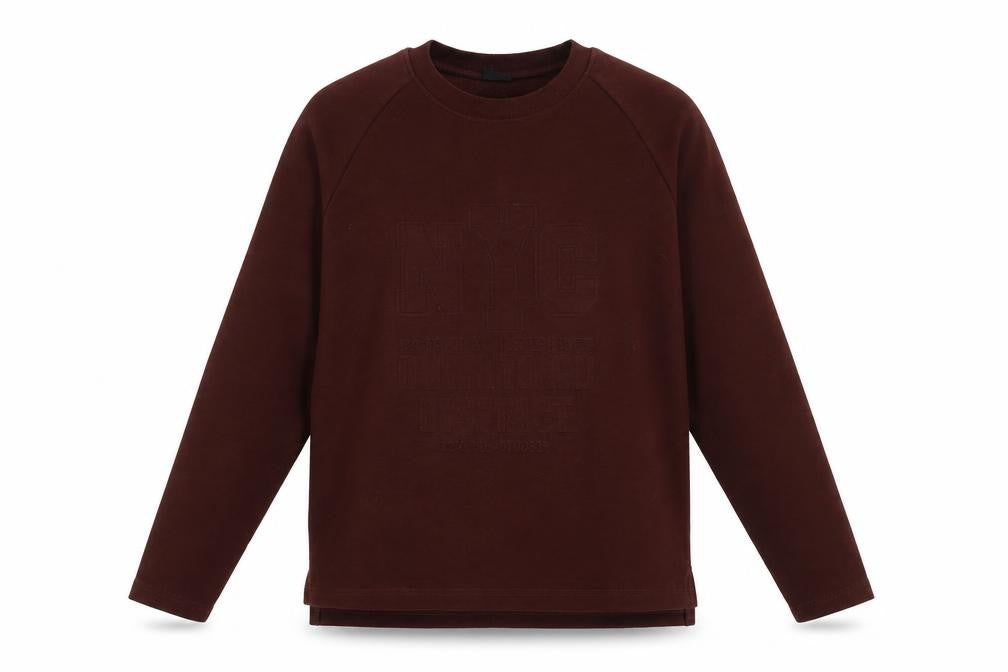 Front view of Hailys Men's Brown Pullover Sweatshirt, M, City Theme