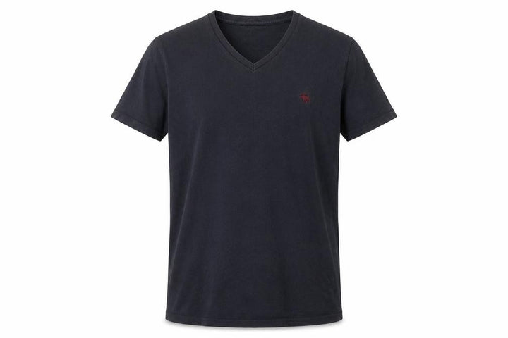 Abercrombie & Fitch Men's V-Neck T-Shirt
