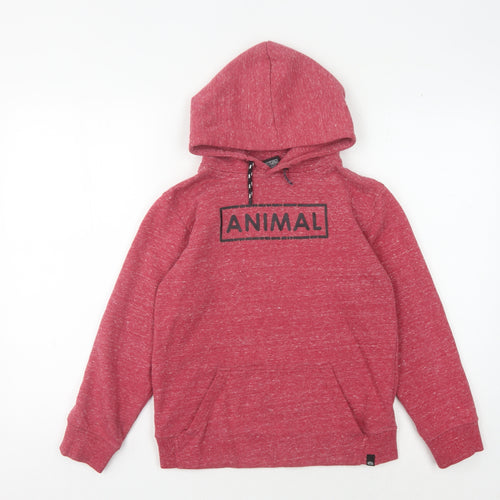 Animal Boys Red Pullover Hoodie - 10-11 Years