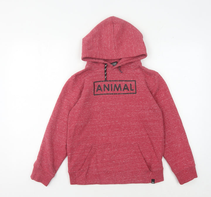 Animal Boys Red Pullover Hoodie - 10-11 Years