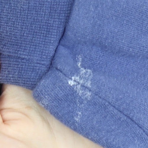 Champion Men’s Blue Pullover Hoodie - Small