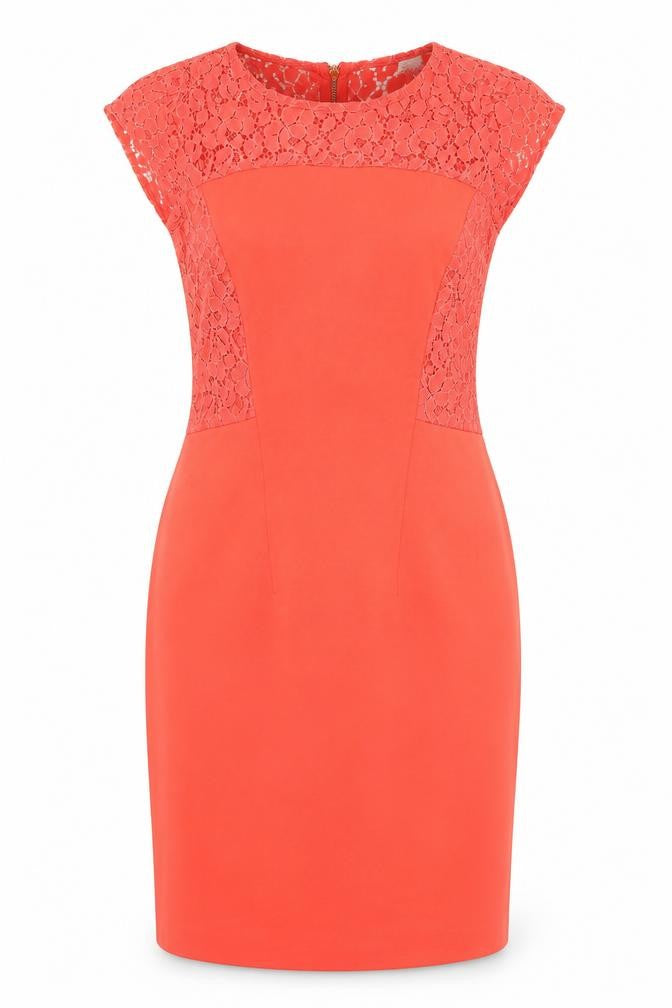 Front view of Amari Women's Orange Knee Length Shift Dress