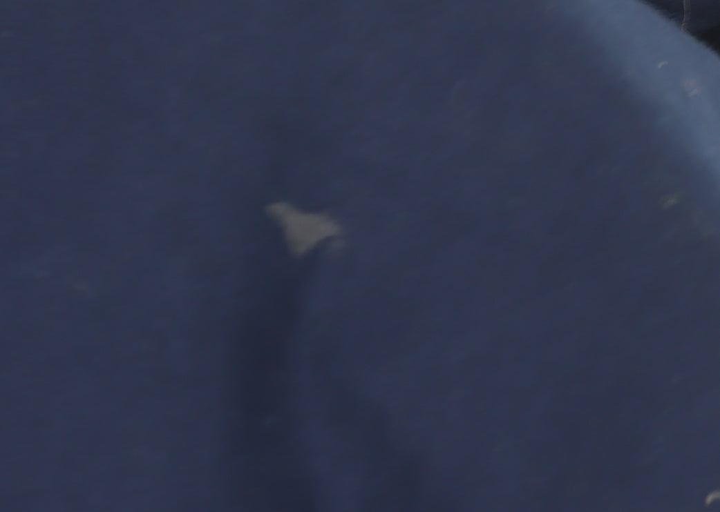 Goose & Gander Men's Blue Pullover Sweatshirt S