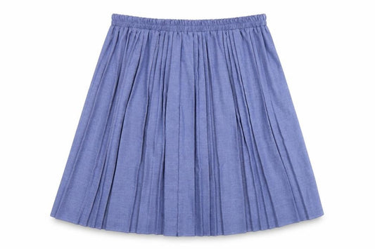 Front view of Emma Collection Women's Blue Pleated Skirt L