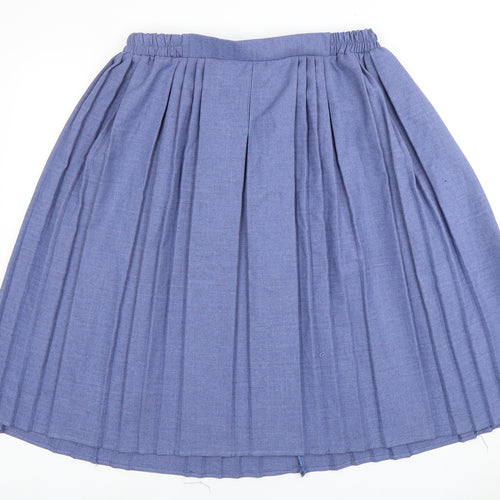 Emma Collection Women's Blue Pleated Skirt L