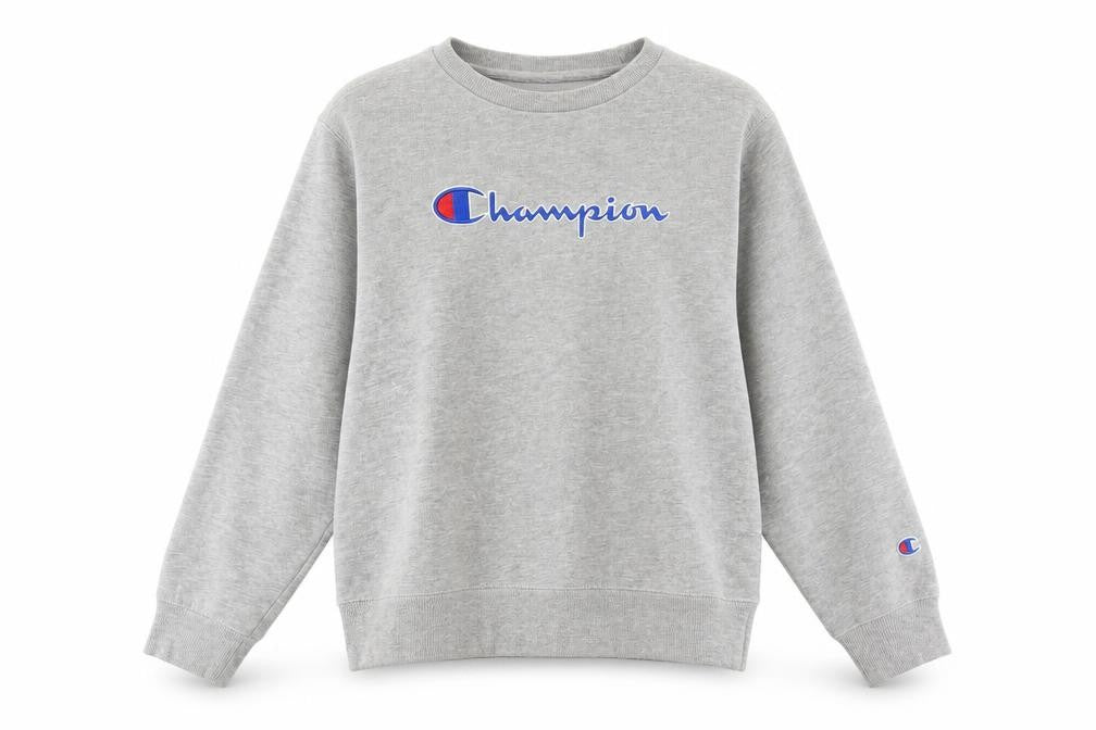 Front view of Champion Grey Large Pullover Sweatshirt for unisex