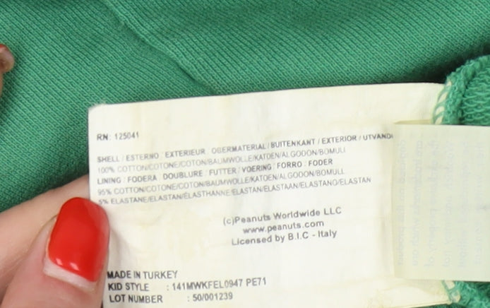 Woolrich Green Peanuts Graphic Hoodie, Unisex Size 12