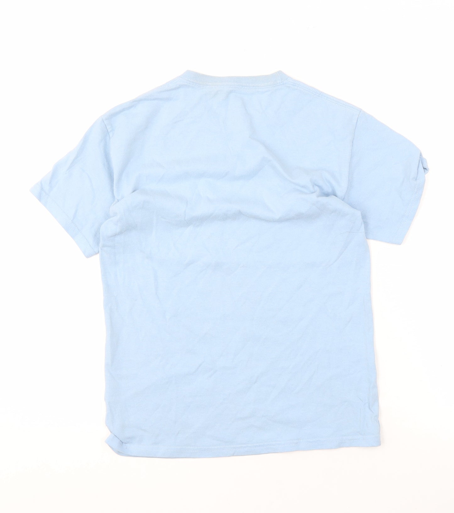 Hanes Unisex Adults Blue Basic T-Shirt M