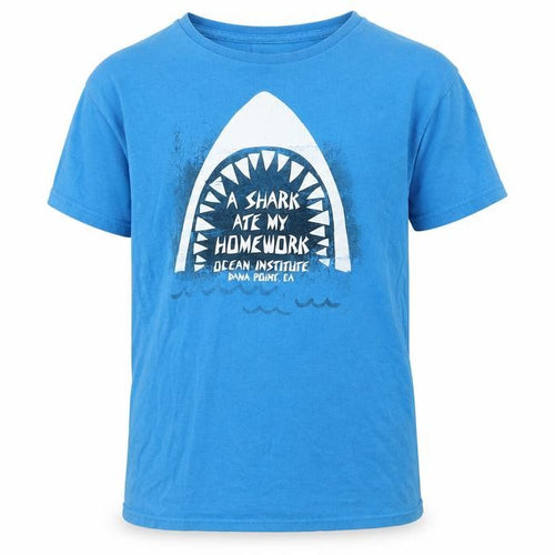Coastal Classics Boys Blue Graphic T-Shirt Size L, Casual Summer