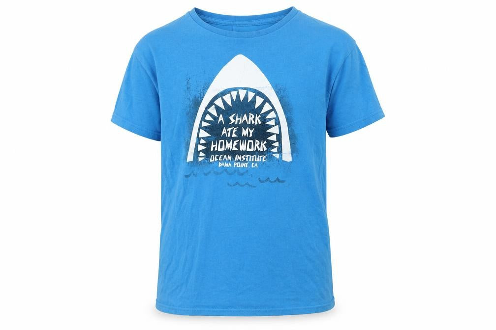 Coastal Classics Boys Blue Graphic T-Shirt Size L, Casual Summer