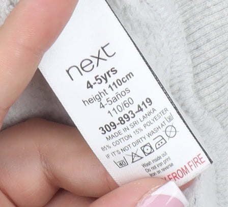 Next Boys Dinosaur Grey Sweatshirt 4-5 Years Pullover