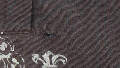 Billabong Women's Brown Skull Graphic Hoodie Size S