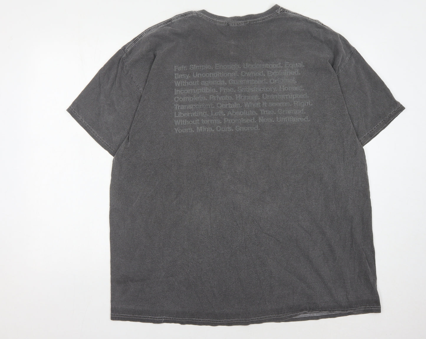Nothing Is Sacred Men's Grey Crew Neck T-Shirt L