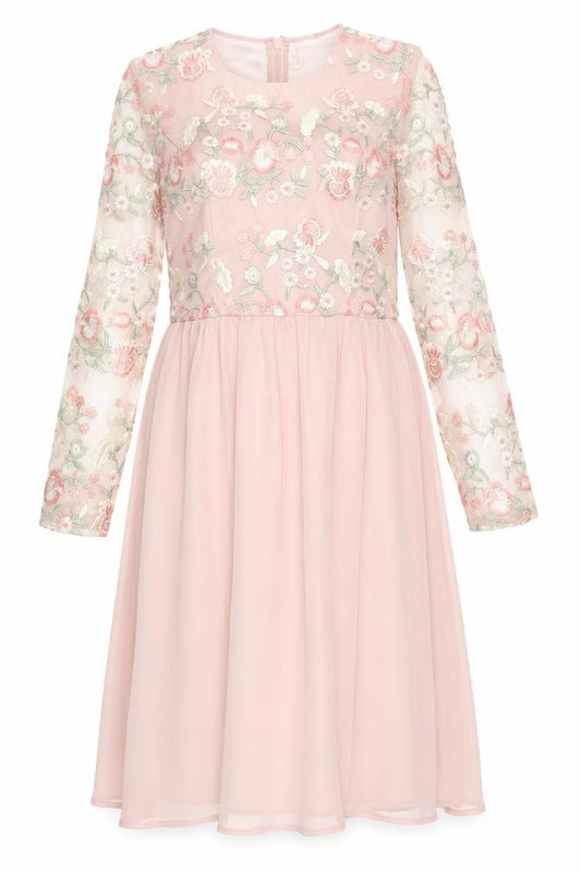 Chi Chi London Women's Pink Floral Embroidered Dress