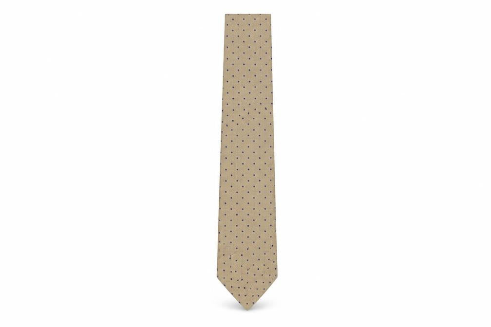 Front view of Bäumler Men's Beige Polka Dot Silk Tie