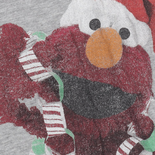 Sesame Street Grey Christmas T-Shirt, Size 6, Teens