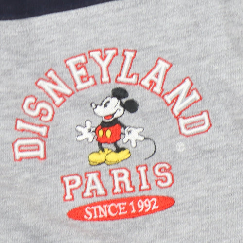 Disneyland Paris Men's Grey Striped Polo S/M