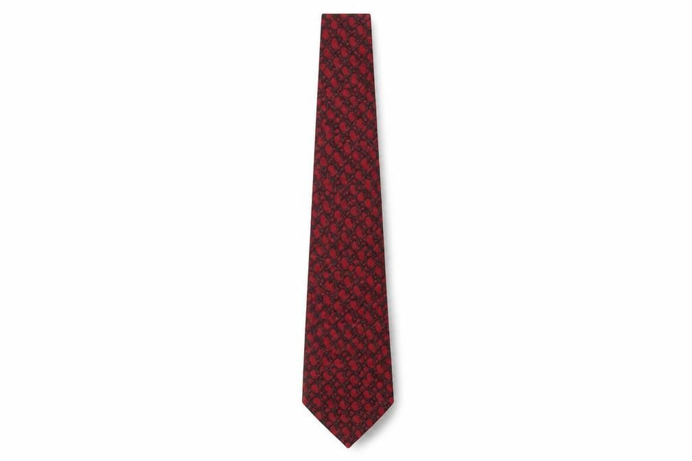 Front view of Feraud Men's Red Paisley Silk Tie