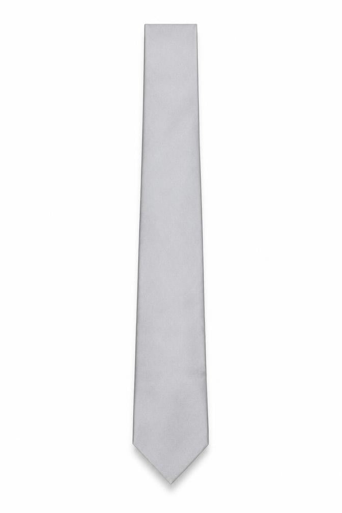 Front view of Pierre Cardin Silver Silk Men's Tie