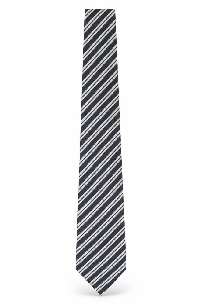 Front view of Canali Men's Blue Striped Silk Tie