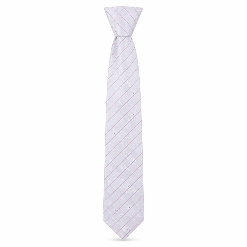 Front view of Balmain Men's Silver Silk Embroidered Designer Tie