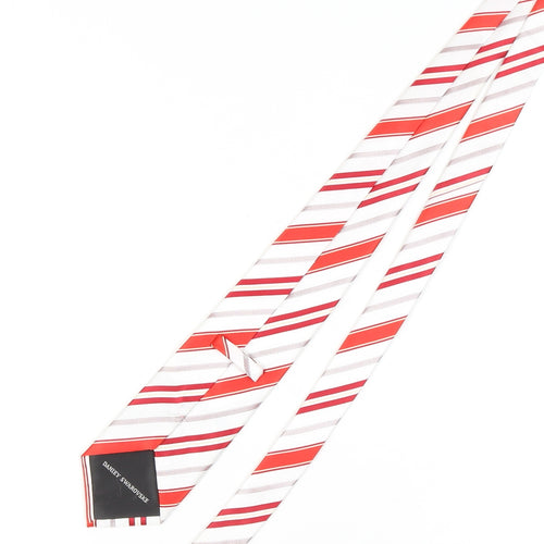 Danley Swarovske Men's Red Striped Silk Tie