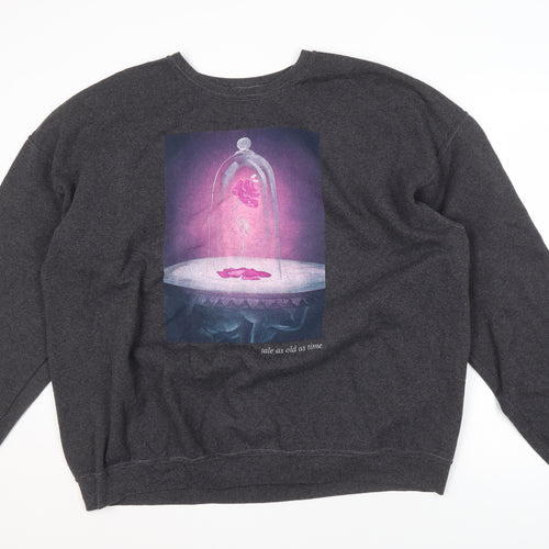 Disney Princess Women's Grey 2XL Pullover Sweatshirt