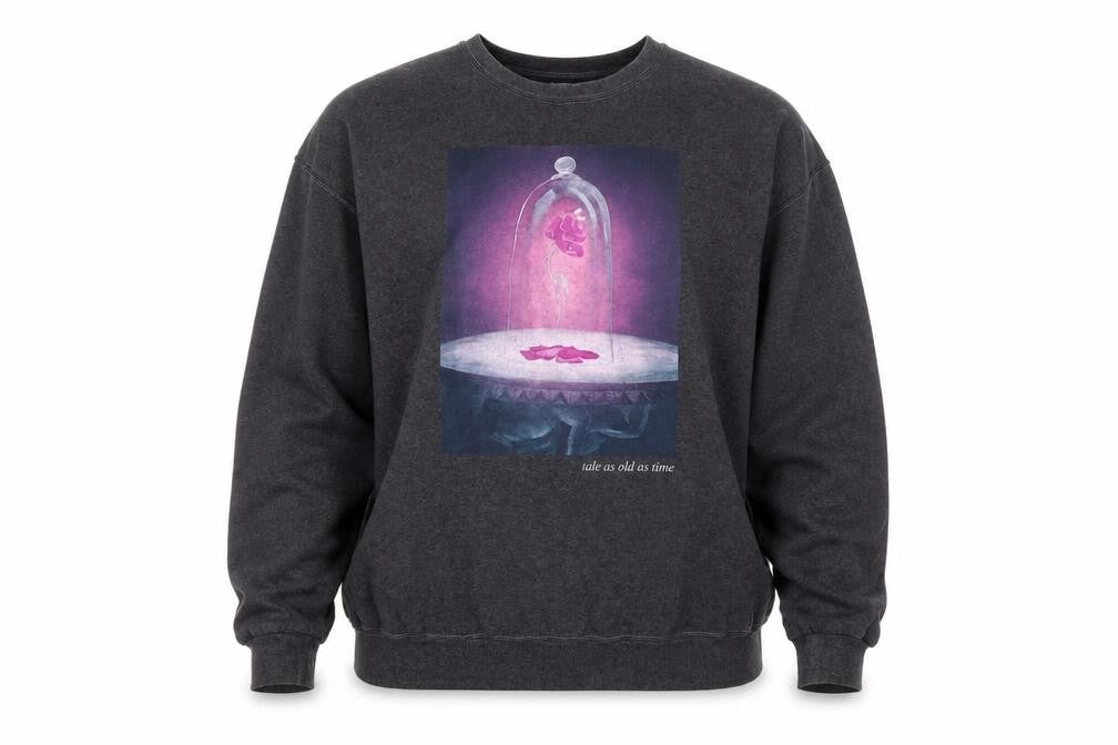 Front view of Disney Princess Women's Grey 2XL Pullover Sweatshirt