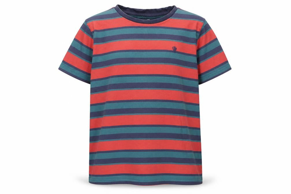 Front view of FatFace boys’ multicoloured striped t-shirt 9-10 years