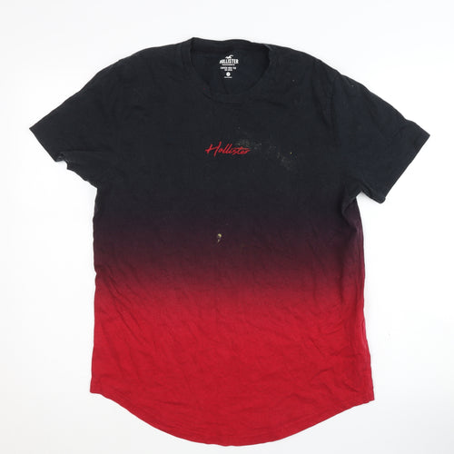 Hollister Men's Multicoloured M Curved Hem T-Shirt