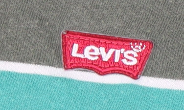 Levi's Men's Green Striped T-Shirt, Size S