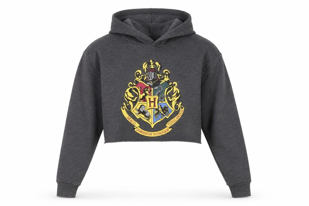 Front view of Harry Potter Women's Grey Long Sleeve Hoodie, size L