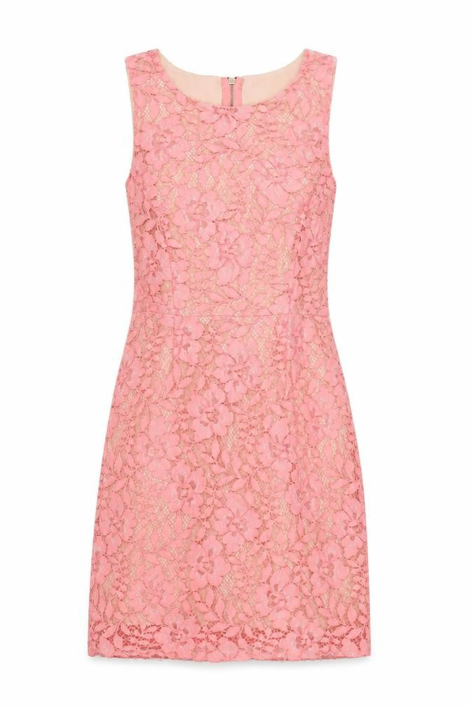 Oasis Women's Pink A-Line Floral Lace Dress, Size 6