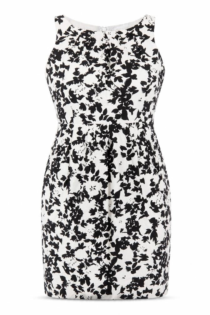 Front view of Amaranté Women's Black & White Floral Sheath Dress, size 8